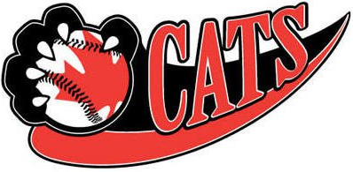 Thunder Bay Border Cats 2003-Pres Alternate Logo iron on transfers for clothing